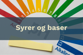 Syrer og baser